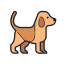icons8-dog-64